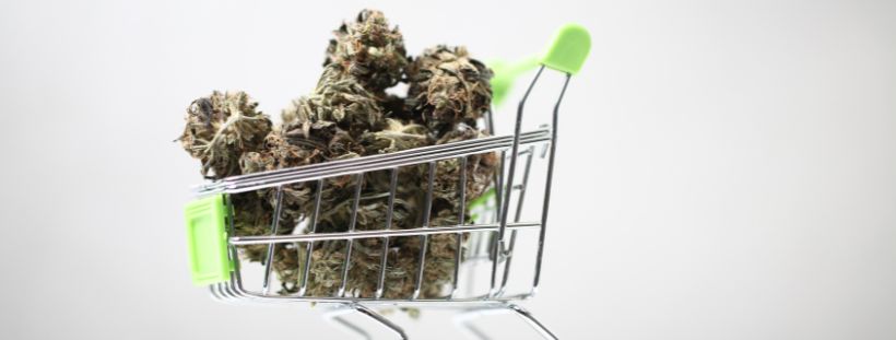 buy cannabis online