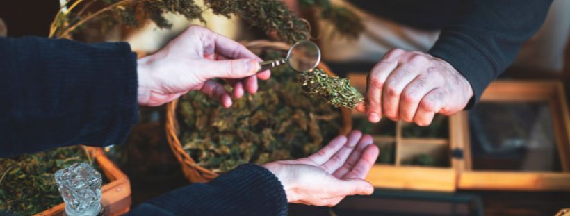 cannabis delivery