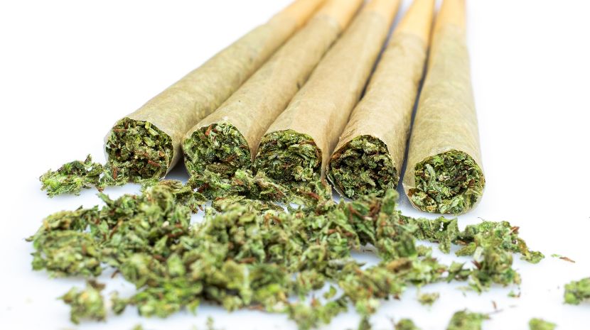 cannabis delivery 