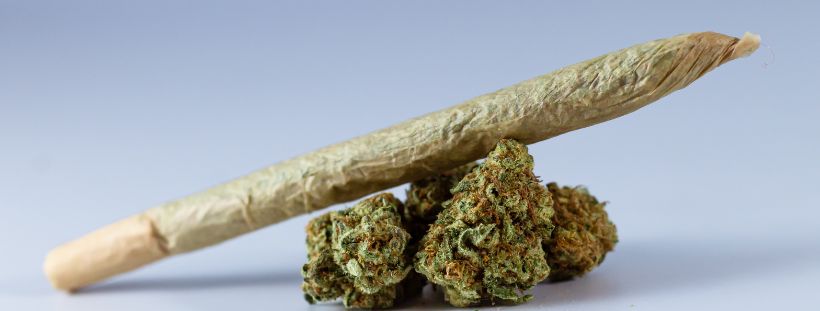 cannabis delivery service