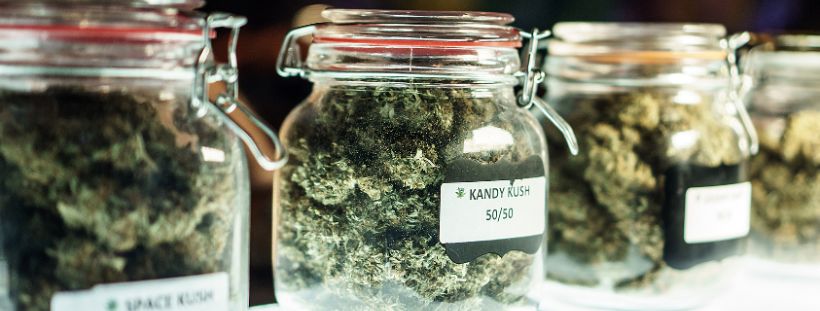 cannabis delivery